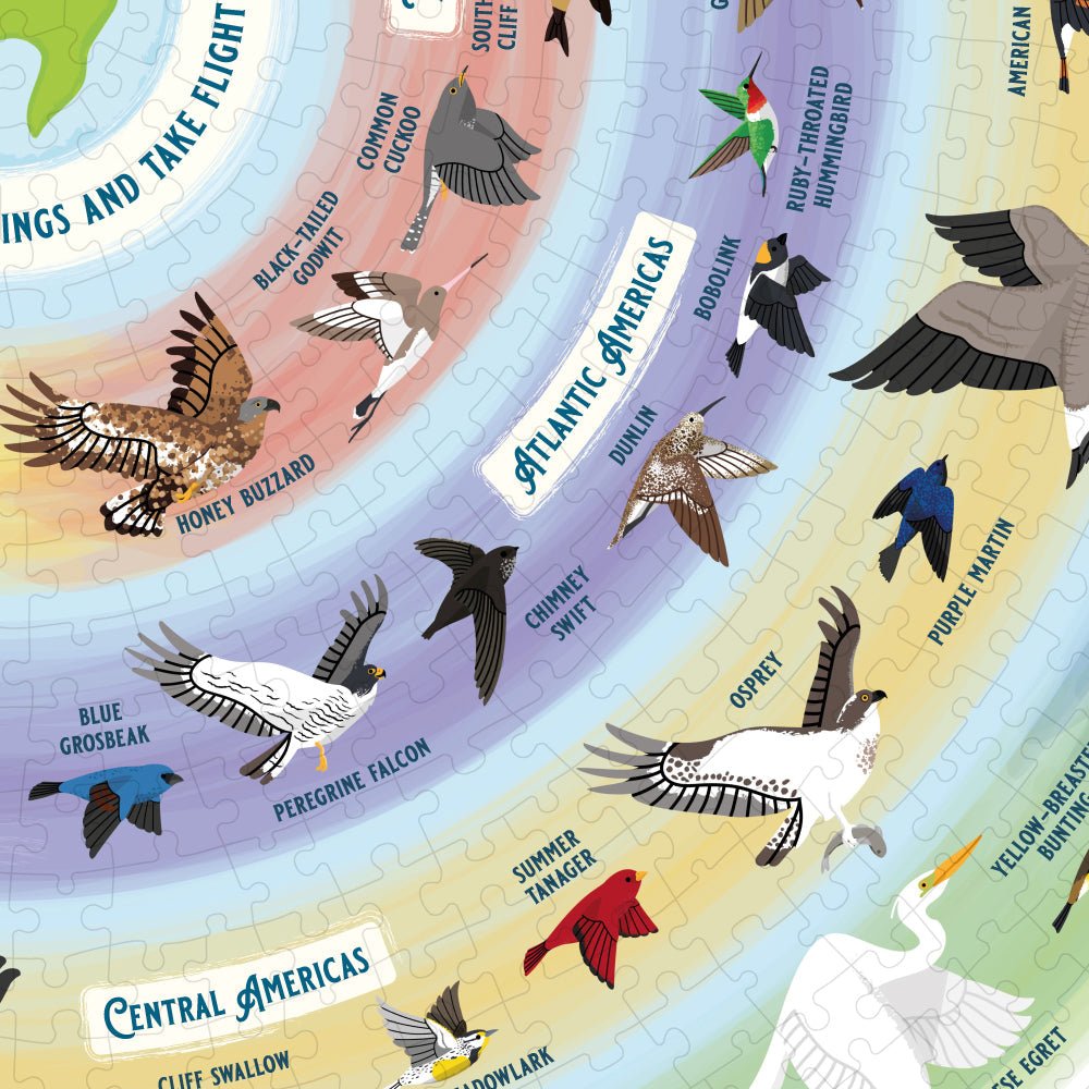 Bird Lover's 1000 - Piece Jigsaw Puzzle - Ridley's Games