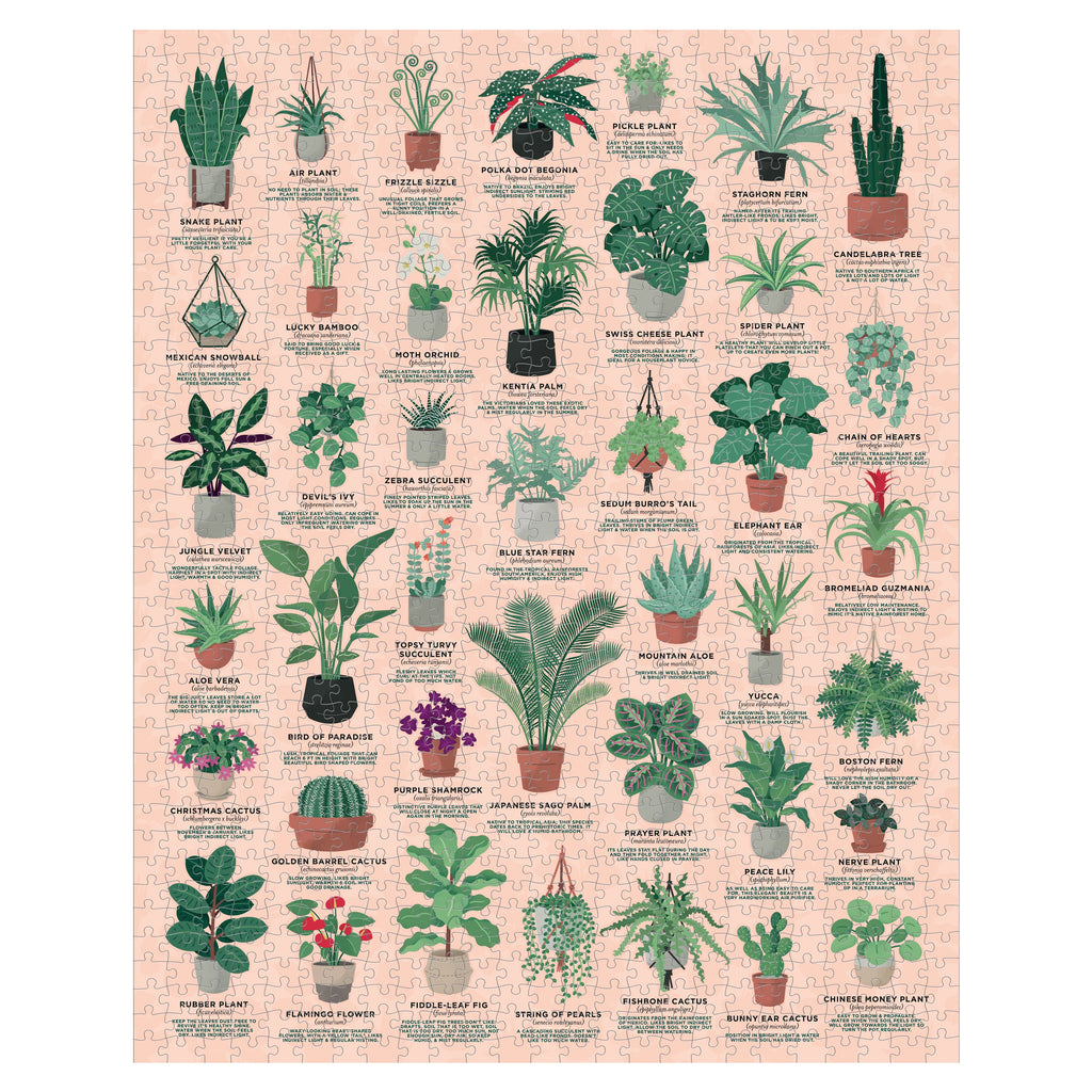 House Plants 1000 - Piece Jigsaw Puzzle - Ridley's Games