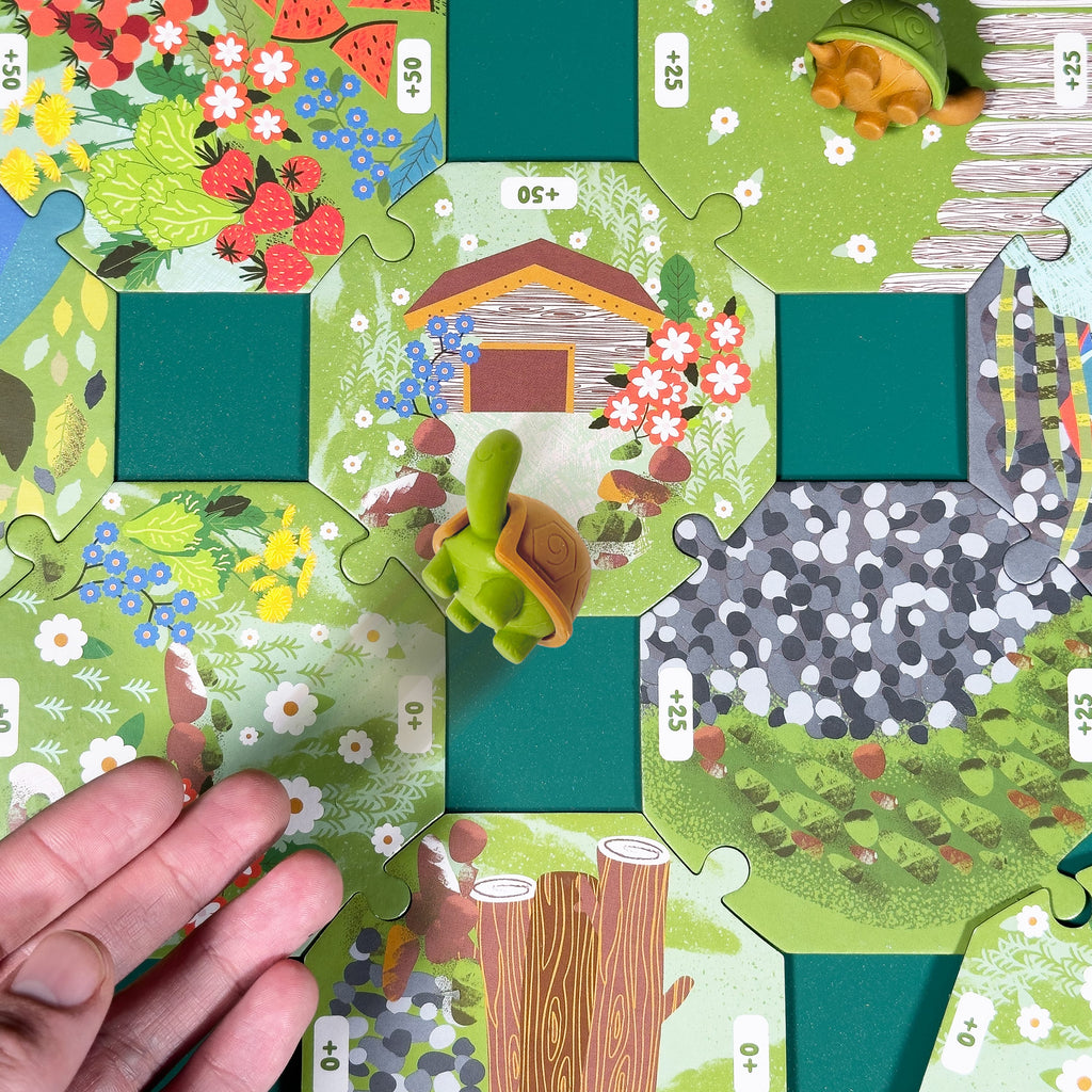 Tortoise Tumble - Ridley's Games